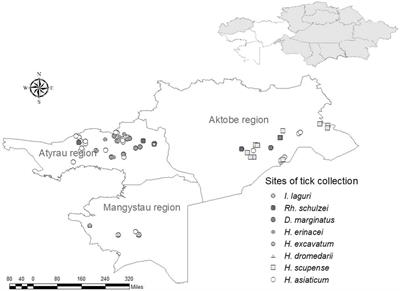 Outcome of the entomological monitoring for Crimean-Congo haemorrhagic fever virus in the western and southern regions of Kazakhstan in 2021–2022